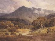 Percy Gray Mt Tamalpais from the North (mk42) china oil painting reproduction